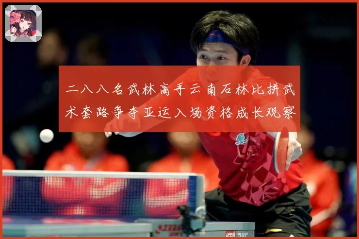 二八八名武林高手云南石林比拼武术套路争夺亚运入场资格成长观察-深度解析