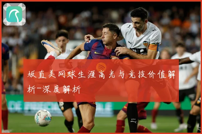 坂直美网球生涯高光与竞技价值解析-深度解析