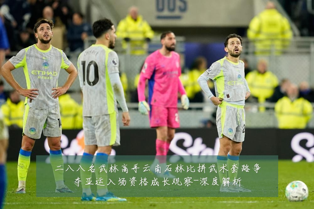 二八八名武林高手云南石林比拼武术套路争夺亚运入场资格成长观察-深度解析